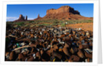 Trash Dump and Sandstone Buttes by Anonymous