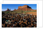 Trash Dump and Sandstone Buttes by Anonymous
