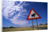 Warthog Crossing Sign by Anonymous