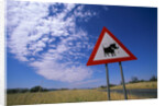 Warthog Crossing Sign by Anonymous
