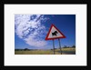 Warthog Crossing Sign by Anonymous
