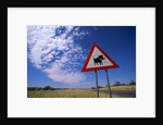 Warthog Crossing Sign by Anonymous