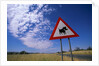 Warthog Crossing Sign by Anonymous
