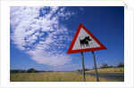 Warthog Crossing Sign by Anonymous