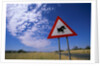Warthog Crossing Sign by Anonymous