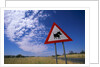 Warthog Crossing Sign by Anonymous