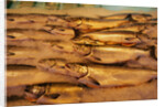 Fresh Fish at Pike Place Market by Anonymous