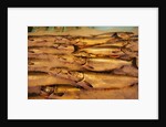 Fresh Fish at Pike Place Market by Anonymous