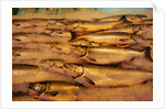 Fresh Fish at Pike Place Market by Anonymous