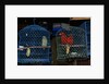 Caged Parrots by Anonymous