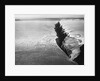 Peterman Glacier in Greenland by Anonymous