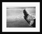 Peterman Glacier in Greenland by Anonymous