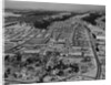 Aerial View of Los Alamos in 1955 by Anonymous