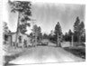 Los Alamos Checkpoint by Anonymous