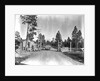 Los Alamos Checkpoint by Anonymous