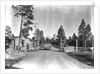 Los Alamos Checkpoint by Anonymous