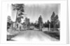 Los Alamos Checkpoint by Anonymous