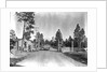 Los Alamos Checkpoint by Anonymous