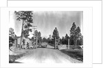Los Alamos Checkpoint by Anonymous