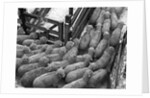 Loading Sheep by Anonymous