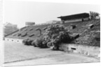 Site of 1942 Atomic Pile by Anonymous