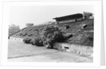 Site of 1942 Atomic Pile by Anonymous