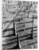 Middletown Cemetery by Anonymous