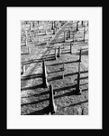 Middletown Cemetery by Anonymous