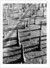 Middletown Cemetery by Anonymous