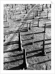 Middletown Cemetery by Anonymous