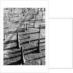 Middletown Cemetery by Anonymous