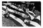 Decorated Grave by Anonymous