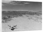 Over Grazed Land by Anonymous