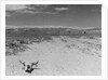 Over Grazed Land by Anonymous