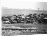 Junkyard by Anonymous