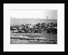 Junkyard by Anonymous