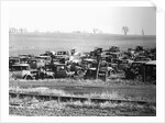 Junkyard by Anonymous