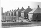 Steelmill Workers' Houses by Anonymous