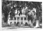 Jackson Plantation Home by Anonymous