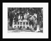 Jackson Plantation Home by Anonymous