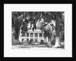 Jackson Plantation Home by Anonymous
