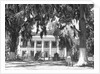 Jackson Plantation Home by Anonymous