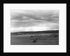 Hudson River Valley by Anonymous