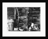Tool Shed by Anonymous