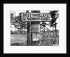 Signs along Highway by Anonymous