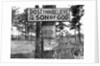 Signs along Highway by Anonymous