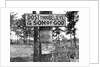 Signs along Highway by Anonymous