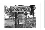 Signs along Highway by Anonymous