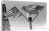 Flags on Lightpost by Anonymous