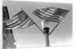 Flags on Lightpost by Anonymous